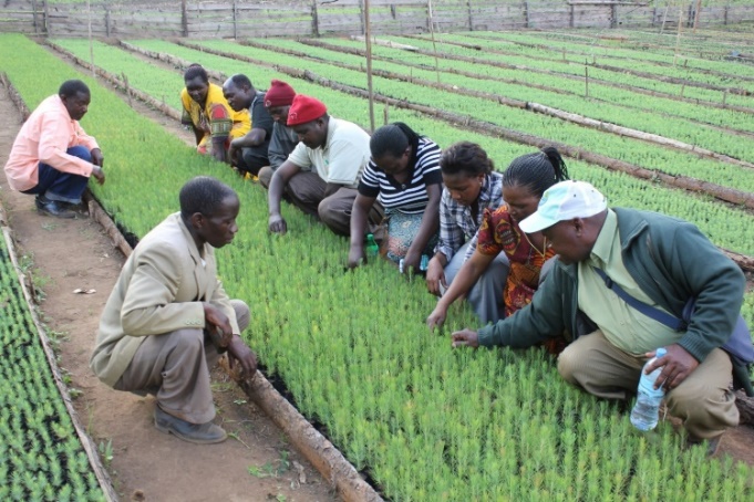 About TTGAU — Tanzania Tree Growers Associations Union (TTGAU)